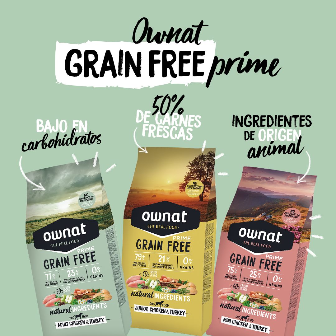 Promo Prime